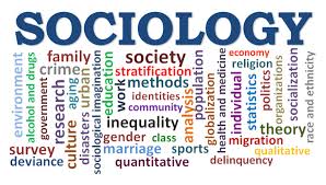 Sociology Image